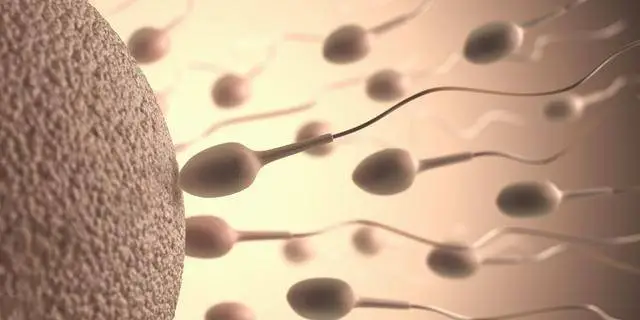 2025济南三代试管婴儿机构试管成功率情况解析！