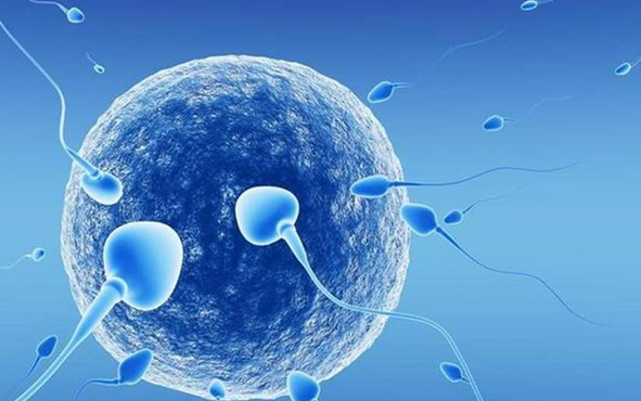 进一步了解！泰国nic的三代试管婴儿技术的优势是？