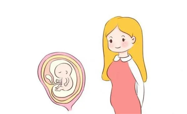 福州做三代试管婴儿贵不贵？一次得花多少钱？