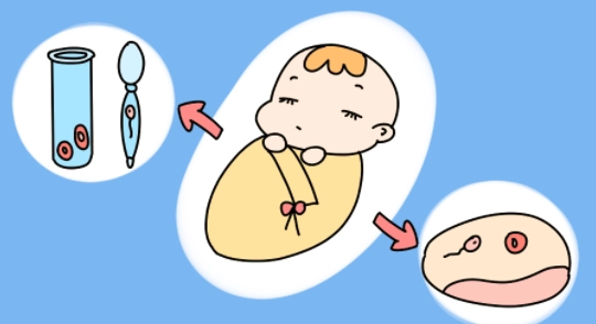 日本试管婴儿费用一览，了解费用差异与选择要点