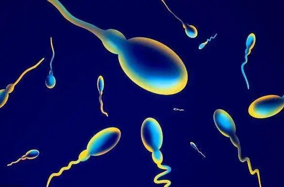 2025昆明三代试管婴儿详细费用情况解析！