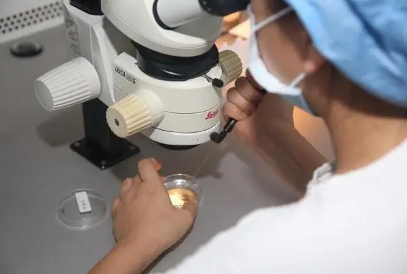 美国试管婴儿的服务态度是什么_美国试管婴儿医院活动