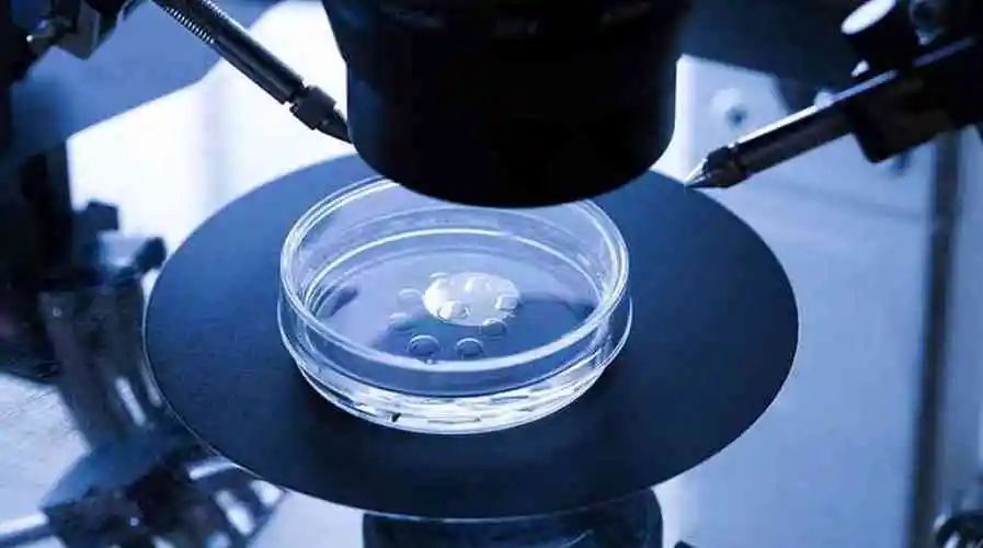 做试管婴儿第一次检查什么时候去好？