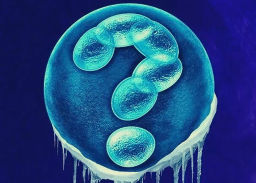 输精管堵塞还可以通过试管婴儿进行生育吗?做试管还能怀上宝宝吗?