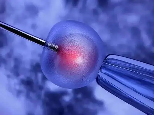 [武威试管婴儿]试管婴儿保胎这样做才科学？