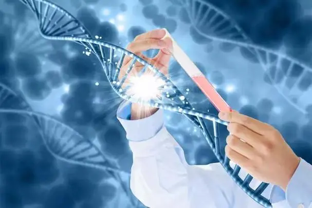 试管婴儿可以挑选精子