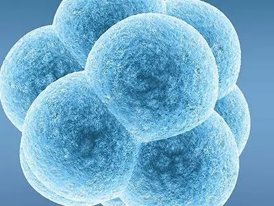 厦门妇幼保健院试管婴儿建档费用要多少？首先了解一下流程