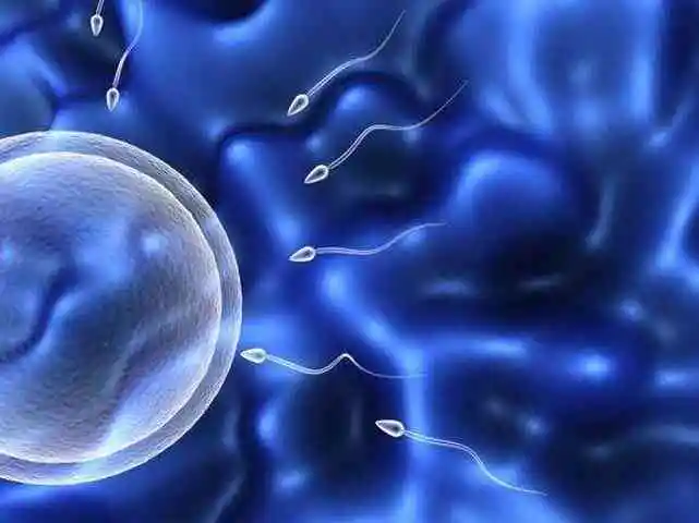 2025年湛江试管婴儿医院排名，湛江试管婴儿医院大全
