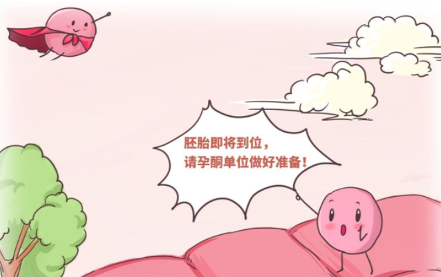 三代试管婴儿能避免脆性X吗？附遗传方式解读