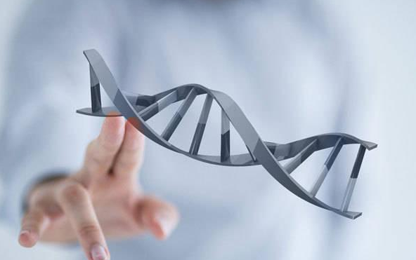 女性梅毒滴度多少可以做试管婴儿要孩子？